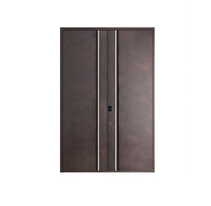 Intelligent entrance door