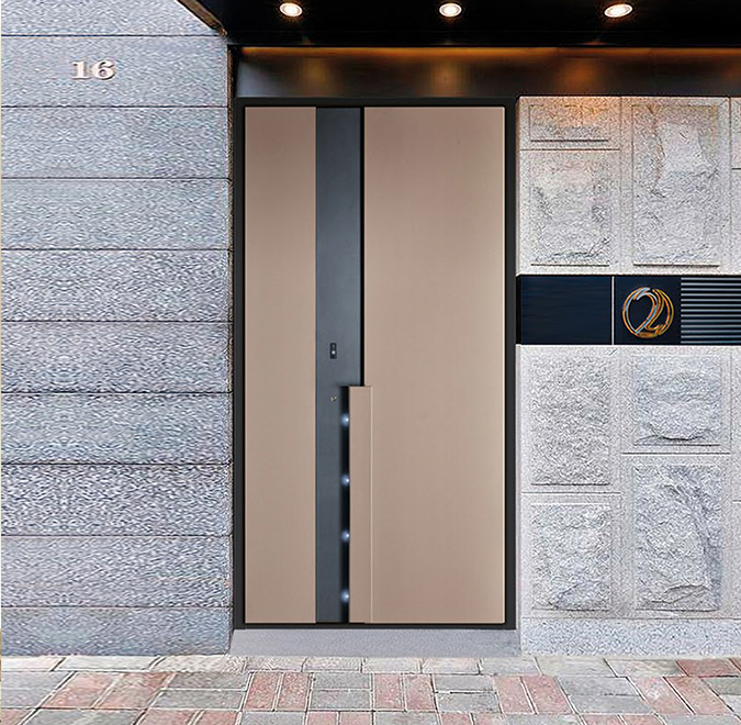 Intelligent entrance door