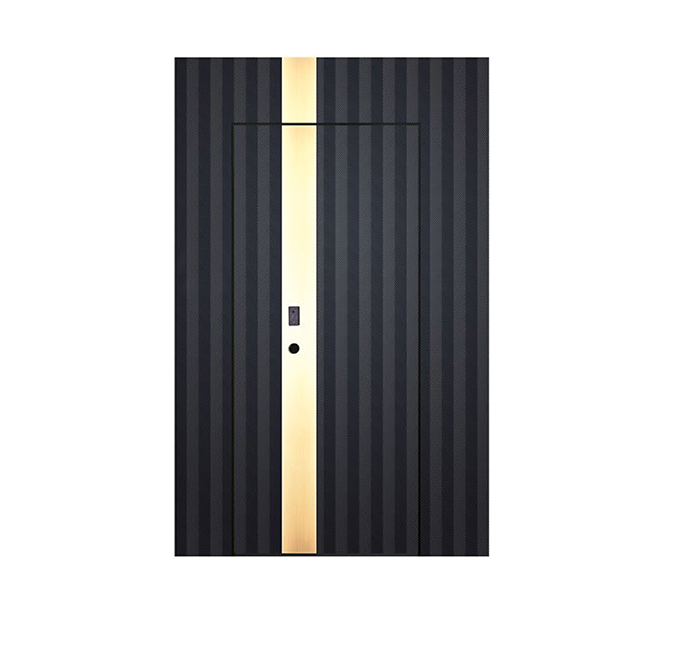 Intelligent entrance door